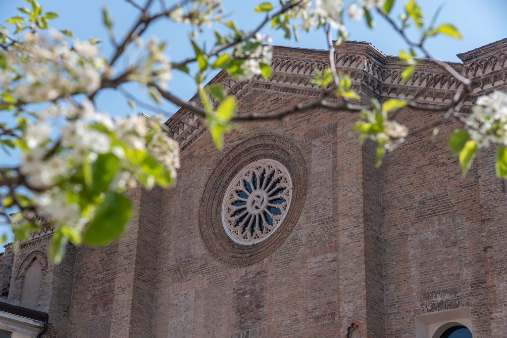 foto articolo Pasqua 2022: la prima Settimana Santa in San Francesco